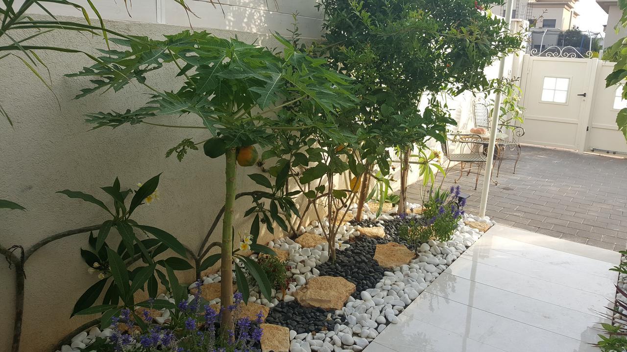 Regina'S Place Or Akiva 외부 사진